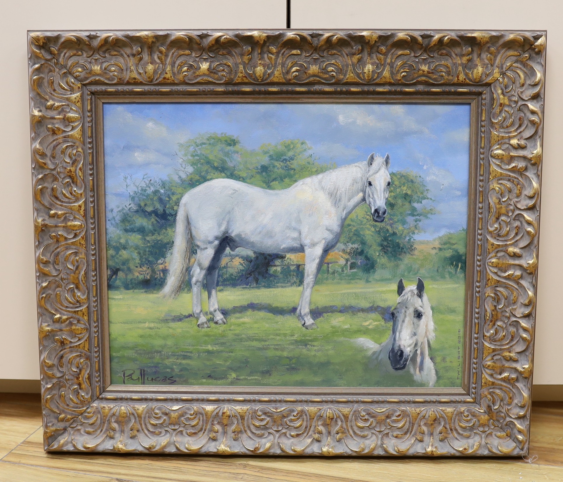 Paul Lucas ASEA, oil on canvas, 'Twilight' portrait of a white stallion, signed and dated 20 16, 39 x 49cm